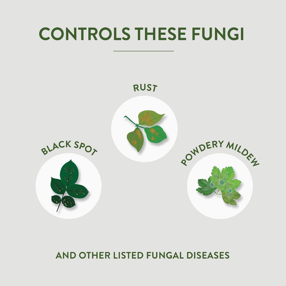 Garden Safe Fungicide 3 32 Oz. Ready To Use Trigger Spray Fungicide Image 3