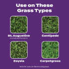 Scotts Turf Builder Bonus S Southern Weed & Feed 33.39 Lb. 10,000 Sq. Ft. Weed Killer Plus Lawn Fertilizer Image 5