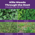 Scotts Turf Builder Bonus S Southern Weed & Feed 33.39 Lb. 10,000 Sq. Ft. Weed Killer Plus Lawn Fertilizer Image 3