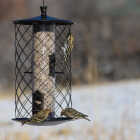 Perky-Pet The Preserve Black 3 Lb. Capacity Wild Bird Feeder Image 3