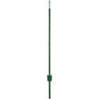 6-1/2' 1.25 PAINT T-POST Image 1