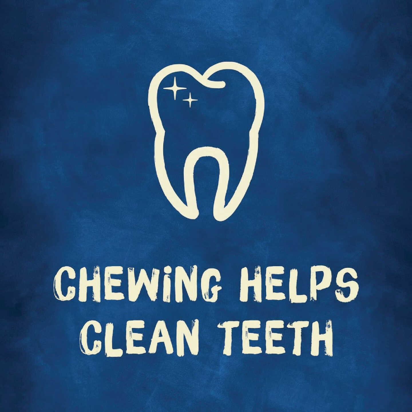 Purina Busy Bone Toy Dog Meat Flavor Dental Dog Treat (4-Pack) Image 6