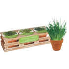 3PC TRIO KITCHEN HERB Image 5