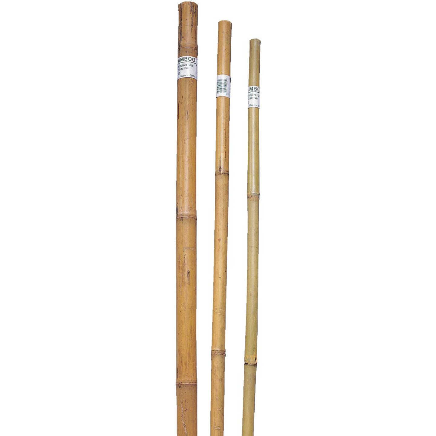 2PK 8' SUPER BAMBOO POLE Image 1