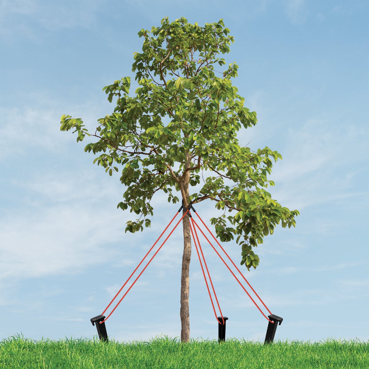 Master Mark Heavy-Duty Plastic Tree Stake Kit Image 3