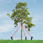 Master Mark Heavy-Duty Plastic Tree Stake Kit Image 3