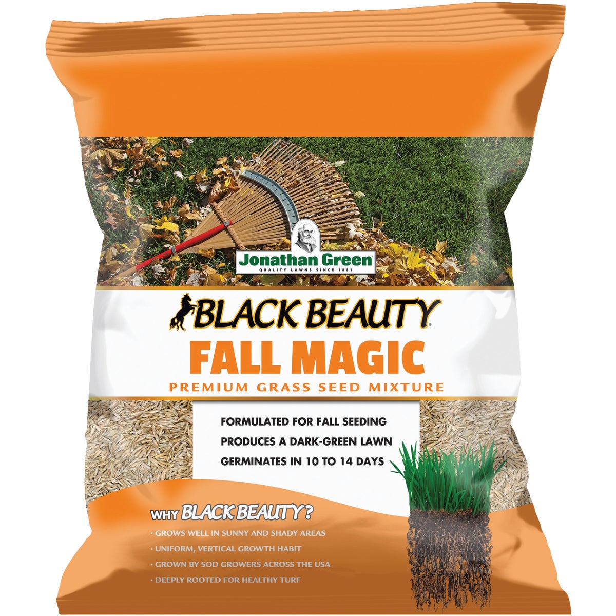 Jonathan Green Black Beauty Fall Magic 7 Lb. 1750 Sq. Ft. Coverage Sun & Shade Grass Seed Image 1