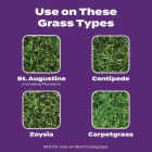 Scotts Turf Builder Bonus S Southern Weed & Feed 18.21 Lb. 5000 Sq. Ft. Weed Killer Plus Lawn Fertilizer Image 5