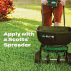 Scotts Turf Builder Bonus S Southern Weed & Feed 18.21 Lb. 5000 Sq. Ft. Weed Killer Plus Lawn Fertilizer Image 4