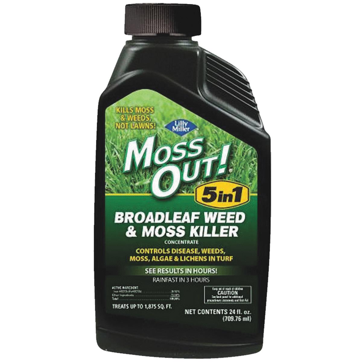 24OZ CONC 5IN1 MOSS OUT