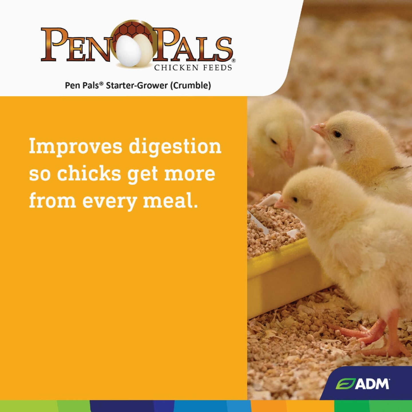 ADM Pen Pals 50 Lb. Medicated Chicken Starter/Grower Chicken Feed Image 5