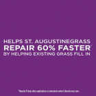 Scotts Ez Patch For St. Augustine Lawns 3.75 Lb. 85 Sq. Ft. Lawn Fertilizer & Mulch Image 3