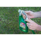 Ortho 32 Oz. Ready To Spray Chickweed, Clover and Oxalis Killer for Lawns Image 3
