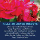 BioAdvanced Dual Action 24 Oz. Ready To Use Trigger Spray Rose and Flower Insect Killer Image 2