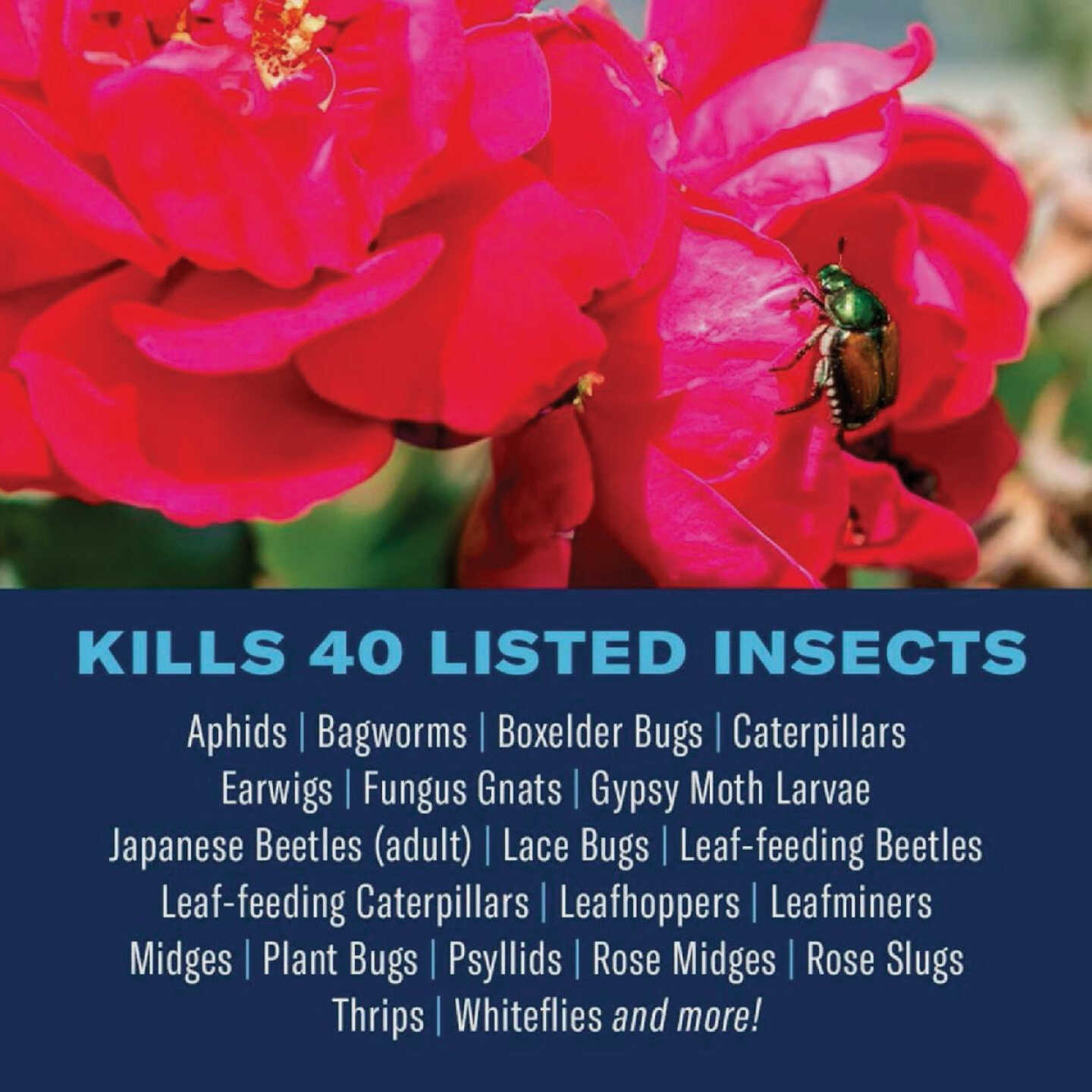 BioAdvanced Dual Action 24 Oz. Ready To Use Trigger Spray Rose and Flower Insect Killer Image 2