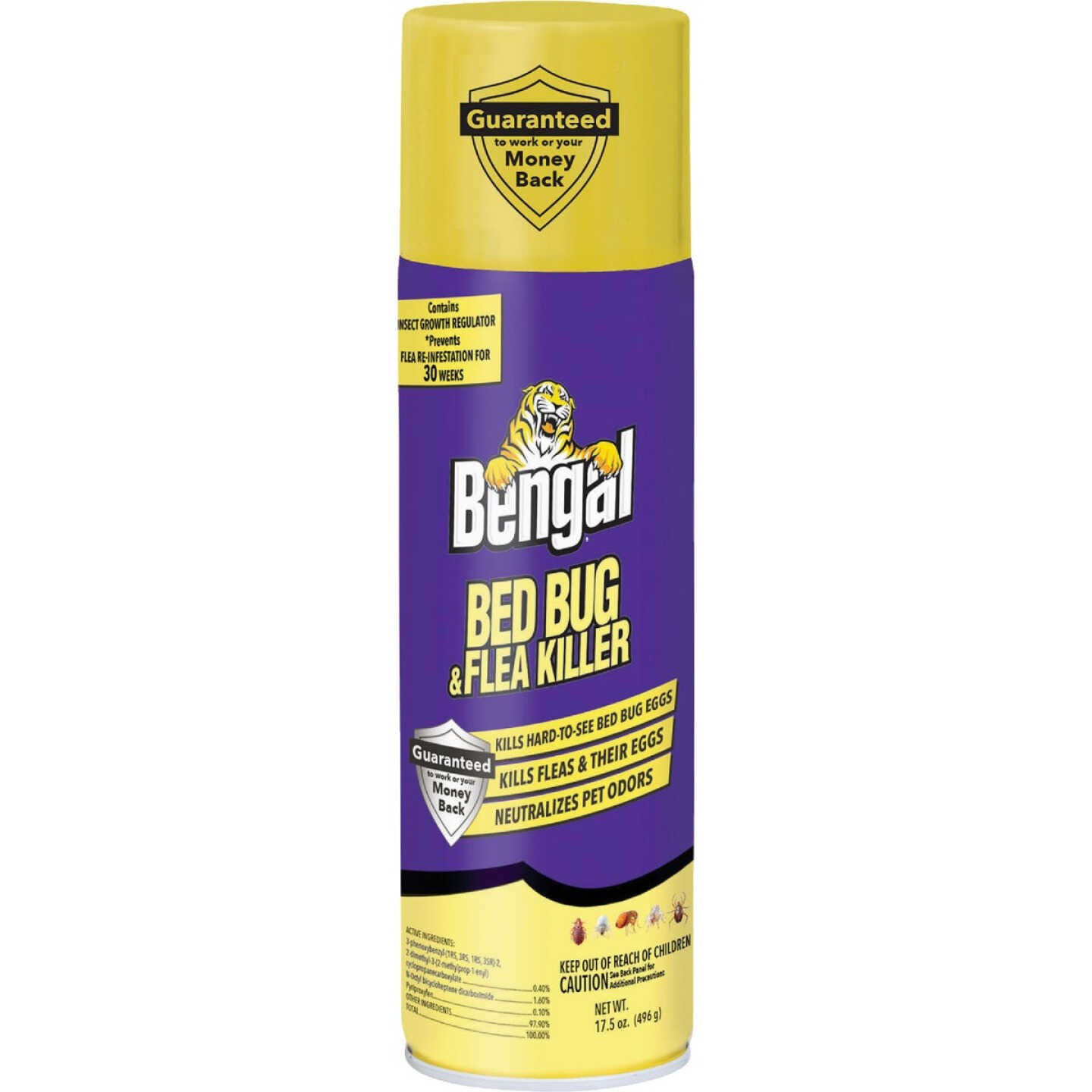 Bengal 17.5 Oz. Aerosol Spray Flea & Bedbug Killer Image 1