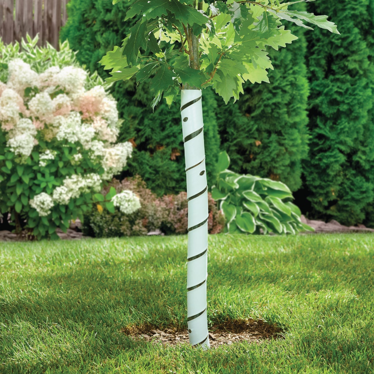 Master Mark 4 In. W. x 24 In. L. Spiral Tree Protector (2-Pack) Image 2