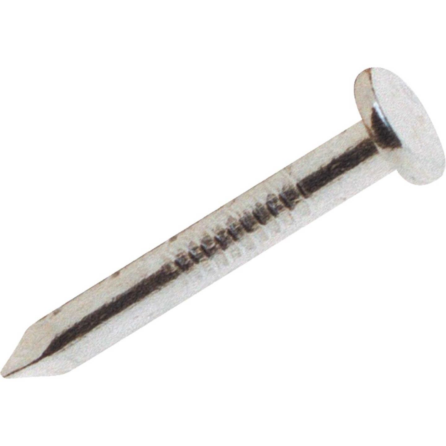 50LB 1-1/2" JOIST NAIL Image 1