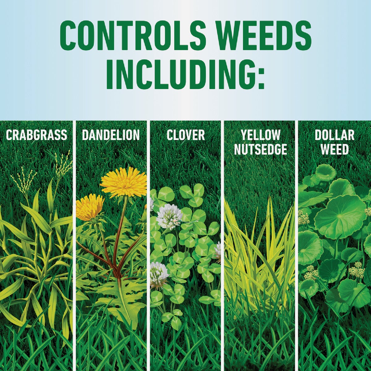 Roundup For Lawns 1 Gal. Ready To Use Wand Sprayer Northern Formula Weed Killer Image 5