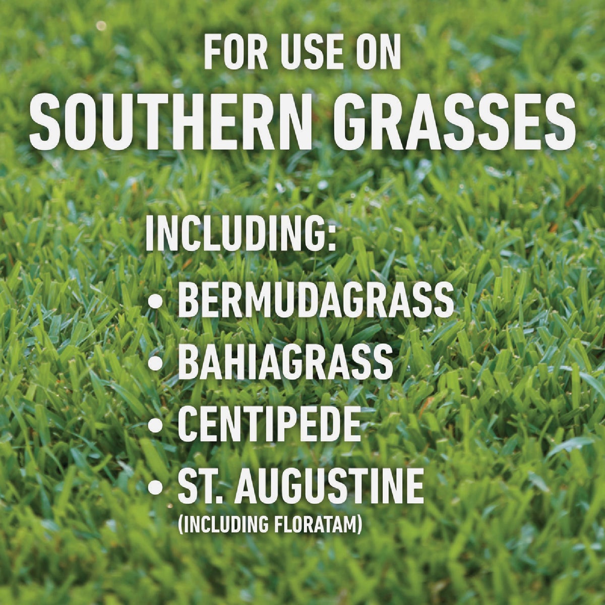 Roundup For Lawns 32 Oz. Spray Southern Formula Weed Killer Image 3
