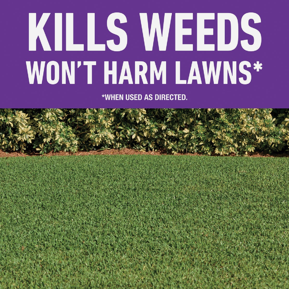 Roundup For Lawns 1 Gal. Ready To Use Wand Sprayer Southern Formula Weed Killer Image 2