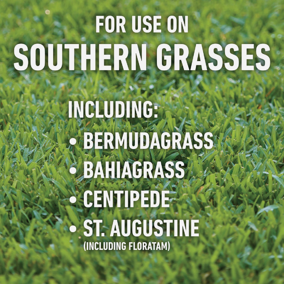 Roundup For Lawns 1 Gal. Ready To Use Wand Sprayer Southern Formula Weed Killer Image 3