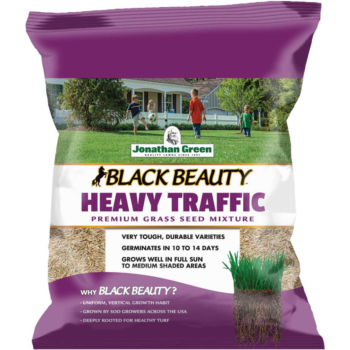 Jonathan Green Black Beauty Heavy Traffic 3 Lb. 600 Sq. Ft. Coverage Grass Seed Image 1
