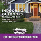 MouseX Pellet Mouse Killer, 8 Oz. Image 5