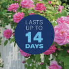 BioAdvanced 3-In-1 32 Oz. Ready To Spray Hose End Insect & Disease Killer Image 5