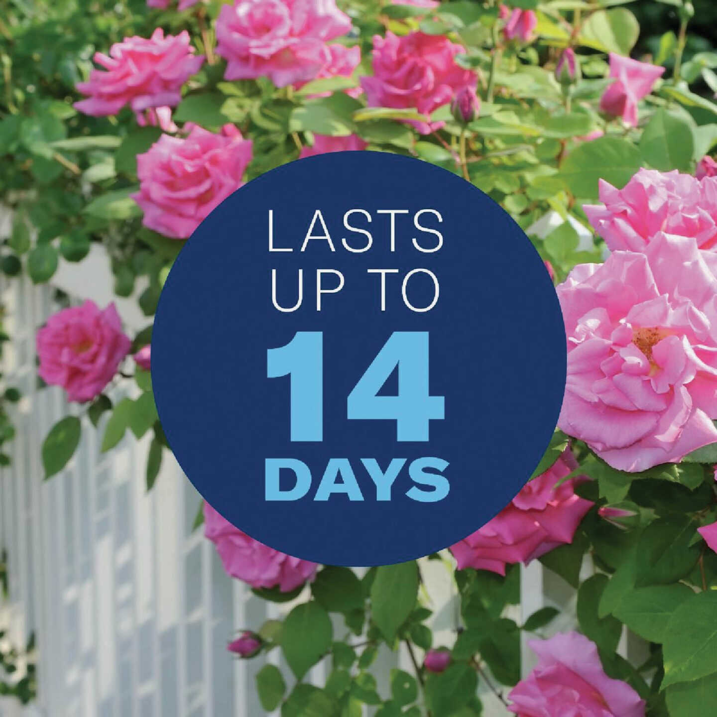 BioAdvanced 3-In-1 32 Oz. Ready To Spray Hose End Insect & Disease Killer Image 5