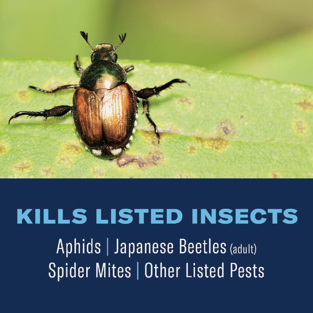 BioAdvanced 3-In-1 32 Oz. Ready To Spray Hose End Insect & Disease Killer Image 2