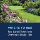 BioAdvanced 3-In-1 32 Oz. Ready To Spray Hose End Insect & Disease Killer Image 4