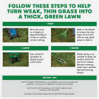Scotts Turf Builder Thick'R Lawn 40 Lb. 4000 Sq. Ft. Sun & Shade Grass Seed, Fertilizer, and Soil Improver Combination Image 3