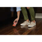 Ortho Home Defense Glue Bed Bug Trap (2-Pack) Image 3