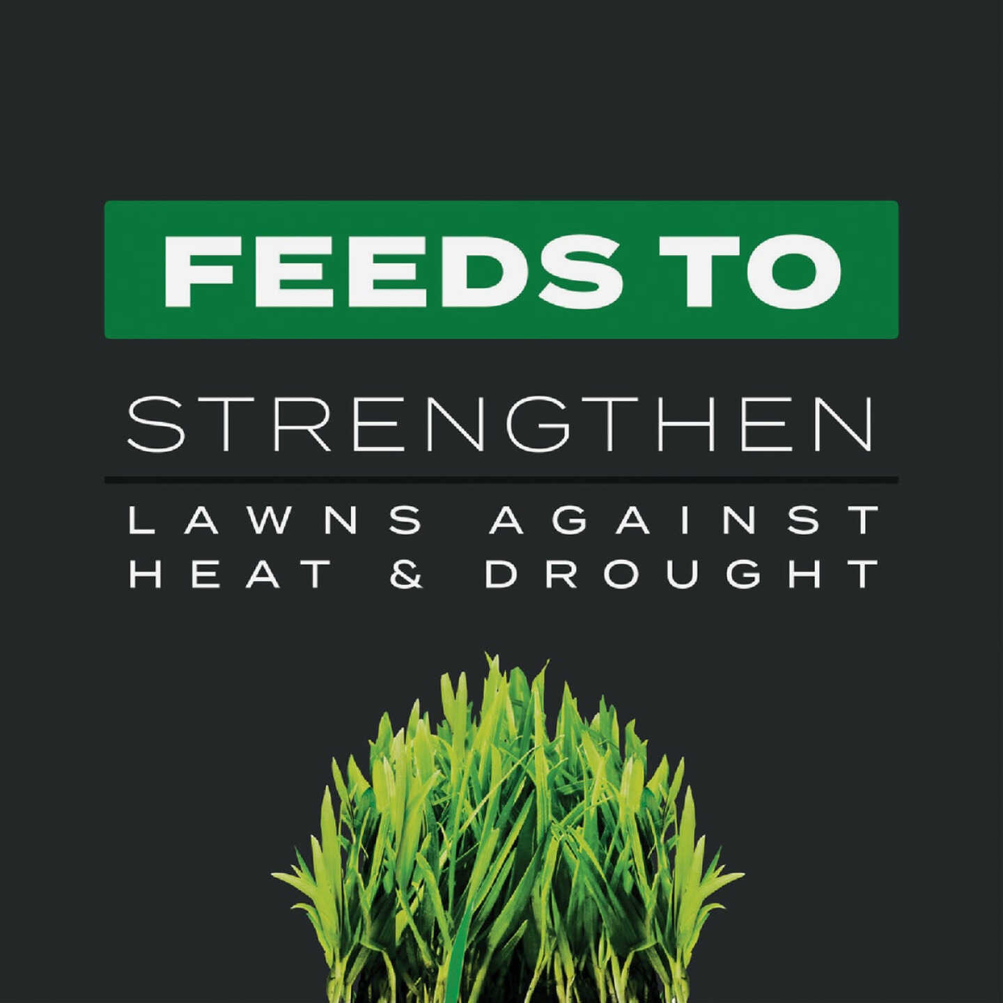 Scotts Turf Builder Southern Triple Action 13.32 Lb. 4000 Sq. Ft. Weed Killer Plus Lawn Fertilizer Image 4