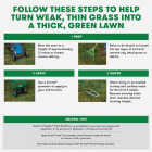 Scotts Turf Builder Thick'R Lawn 40 Lb. 4000 Sq. Ft. Tall Fescue Mix Grass Seed, Fertilizer, and Soil Improver Combination Image 3