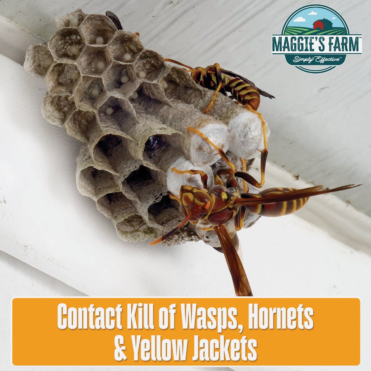 Maggie's Farm 14 Oz. Foaming Aerosol Spray Wasp & Hornet Killer Image 2