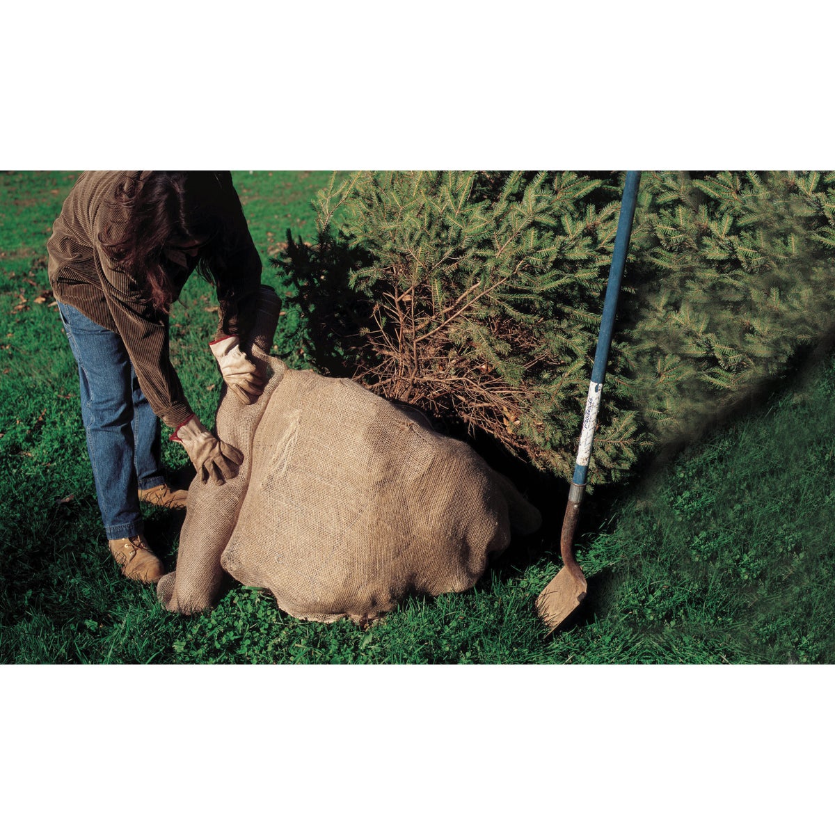 DeWitt 3 Ft. W. x 48 Ft. L. Natural Burlap Image 2