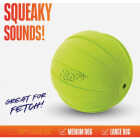 Nerf Dog 3.8 In. Rubber Classic Squeak Ball Image 2