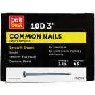 Do it 10d x 3 In. 9 ga Bright Common Nails (66-Count, 1 Lb.) Image 1