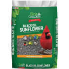 Best Garden 5 Lb. Black Oil Sunflower Wild Bird Seed Image 1