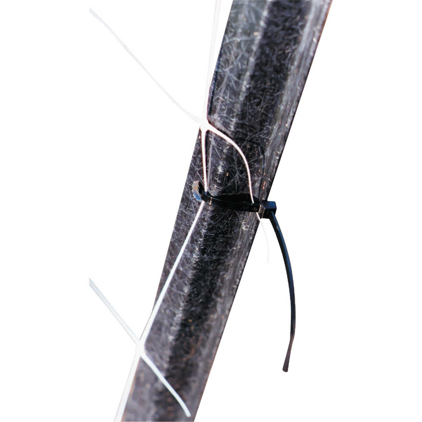 Tenax 50 Pcs. 7 In. Black Fence Ties Image 2