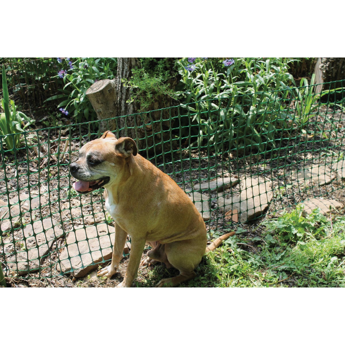 Tenax 4 Ft. H. x 50 Ft. L. High-Density Polyethylene Garden Fence, Green Image 3