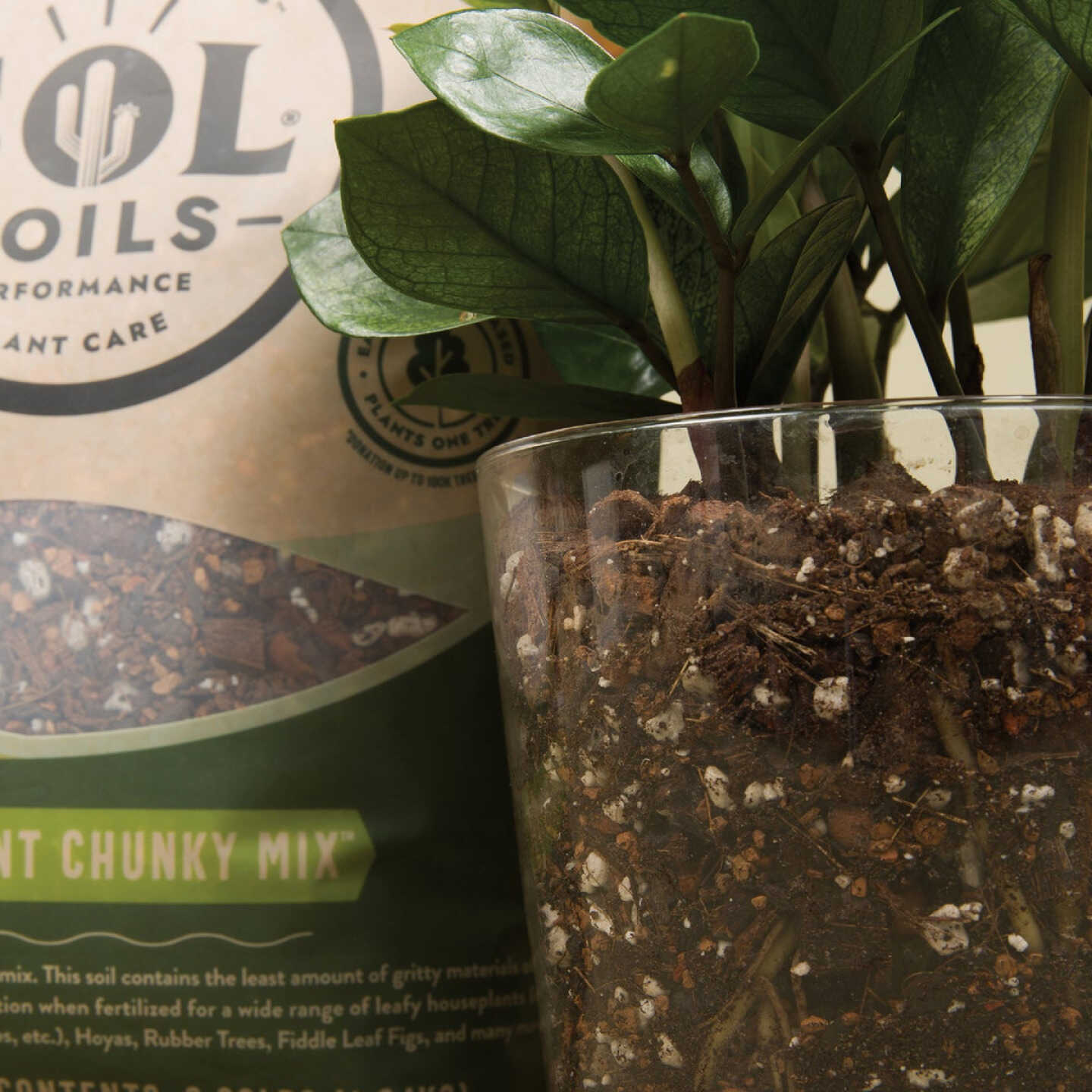 Sol Soils 1 Qt. Houseplant Chunky Mix Image 3