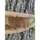 Tanglefoot Tree 15 Oz. Insect Barrier Image 2