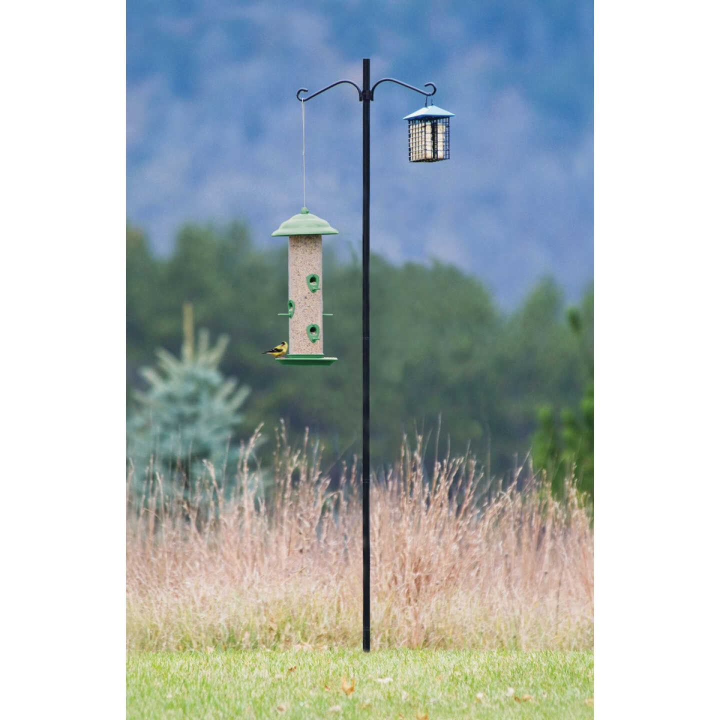 More Birds 6.5 Ft. Steel Bird Feeder Pole Kit Image 1