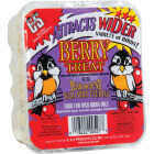 C&S 11.75 Oz. Berry Treat Suet Image 1