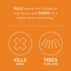 Scotts Turf Builder WinterGuard 11.43 Lb. 4000 Sq. Ft. Fall Weed & Feed Image 2