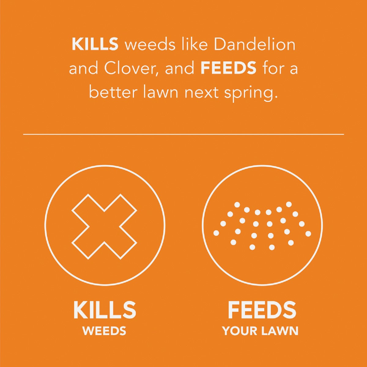 Scotts Turf Builder WinterGuard 43.3 Lb. 12,000 Sq. Ft. Fall Weed & Feed Image 2