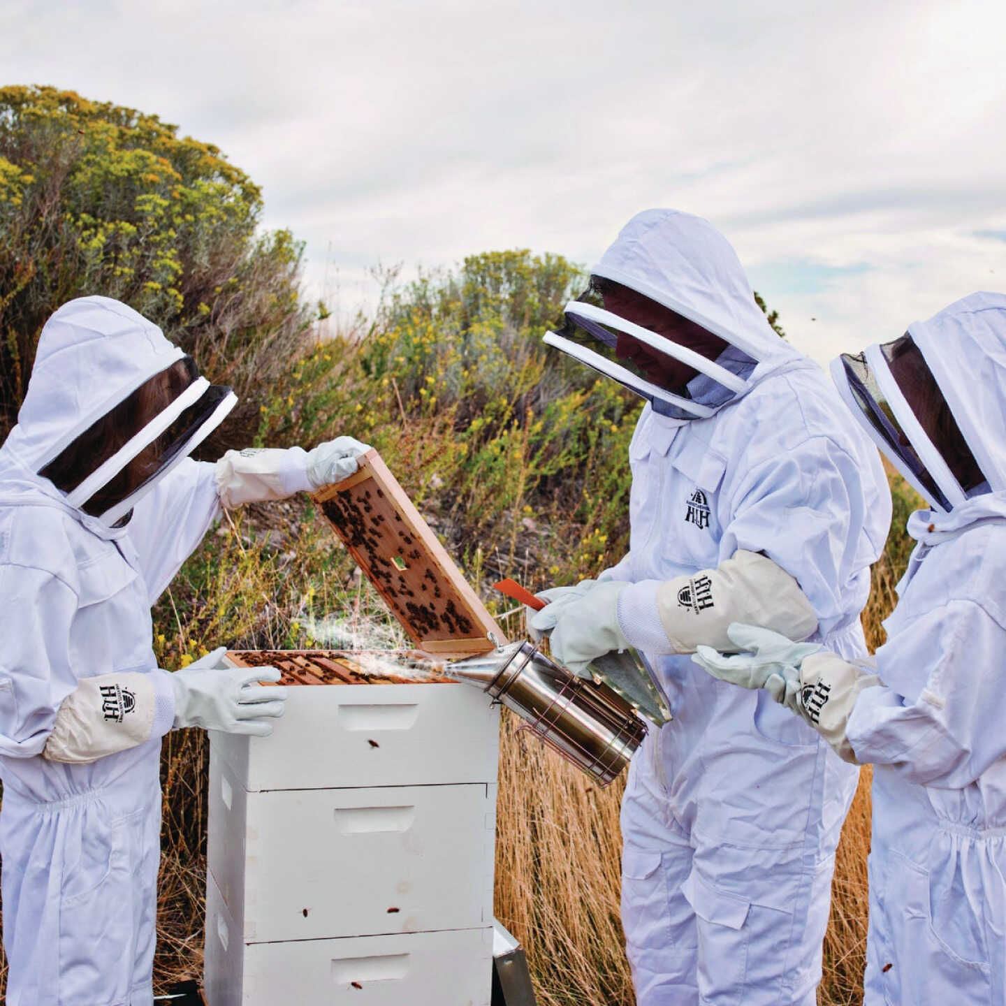Harvest Lane Honey Medium Beekeeping Suit Image 3